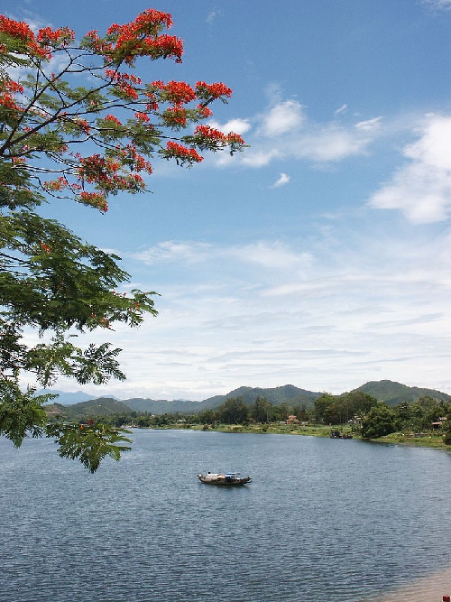 Chùm thơ Vân Phi